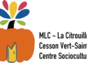 La MLC centre socioculturel de Cesson Vert Saint Denis (77) recrute un.e directeur.rice